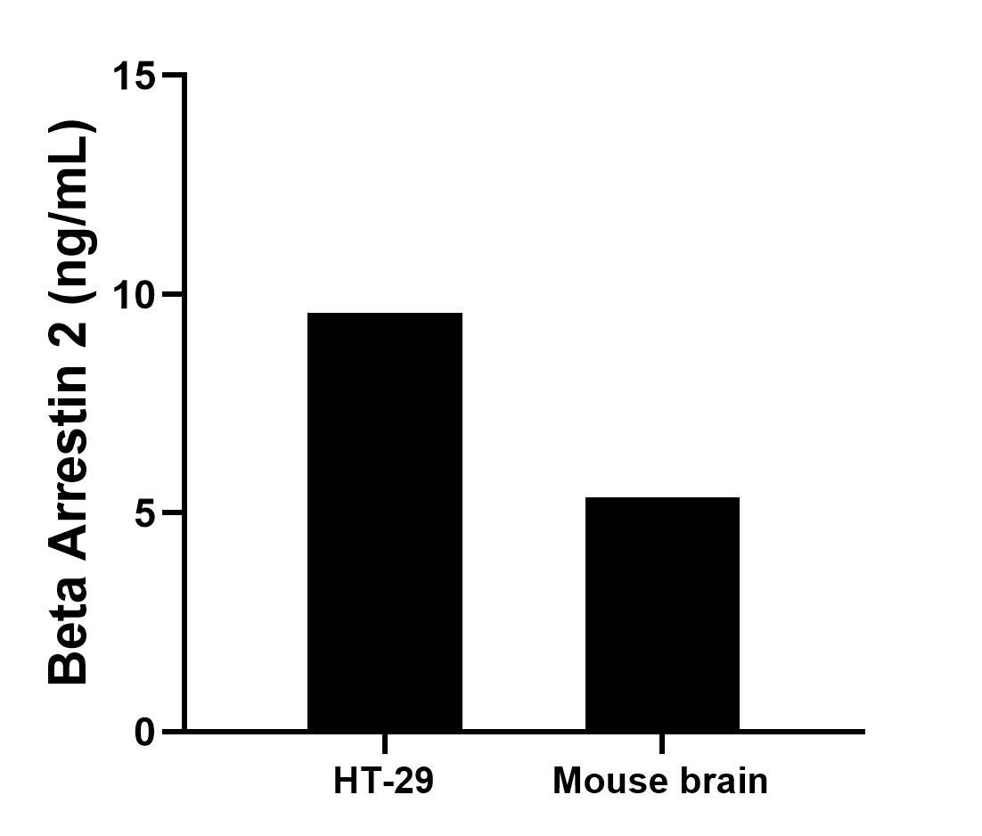 Sample test of MP01125-4